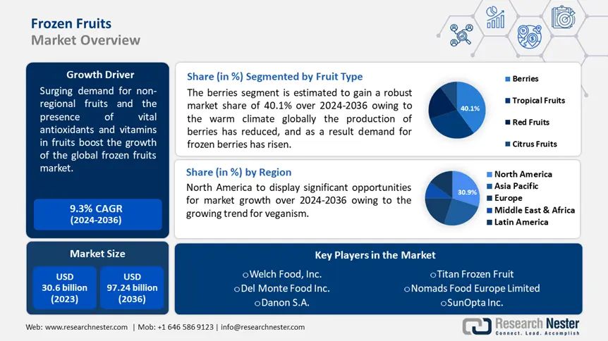 Frozen Fruits Market overview